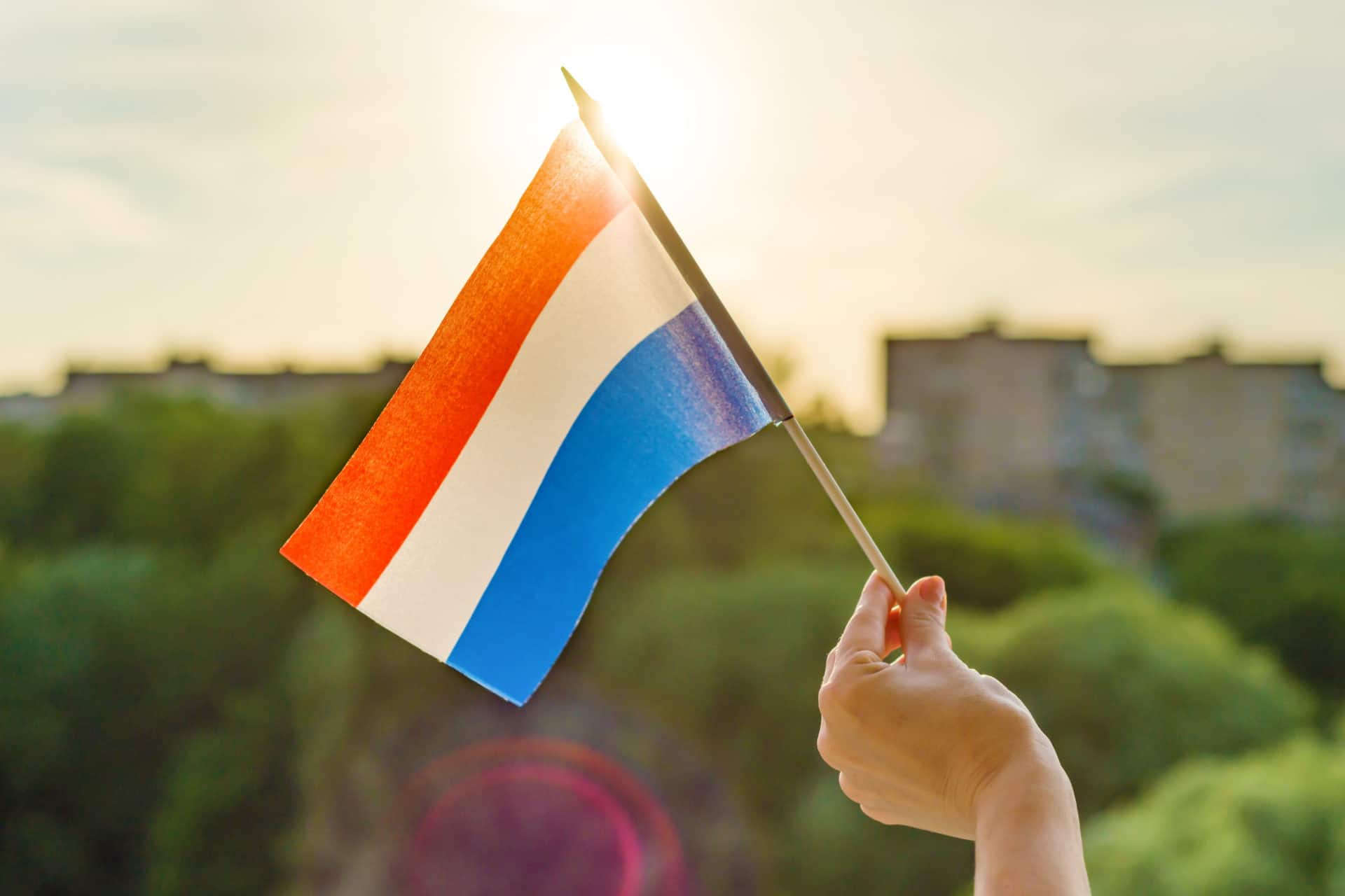 5 Mei Bevrijdingsdag: Verplichte Vrije Dag Of Niet? | BnP Accountancy ...